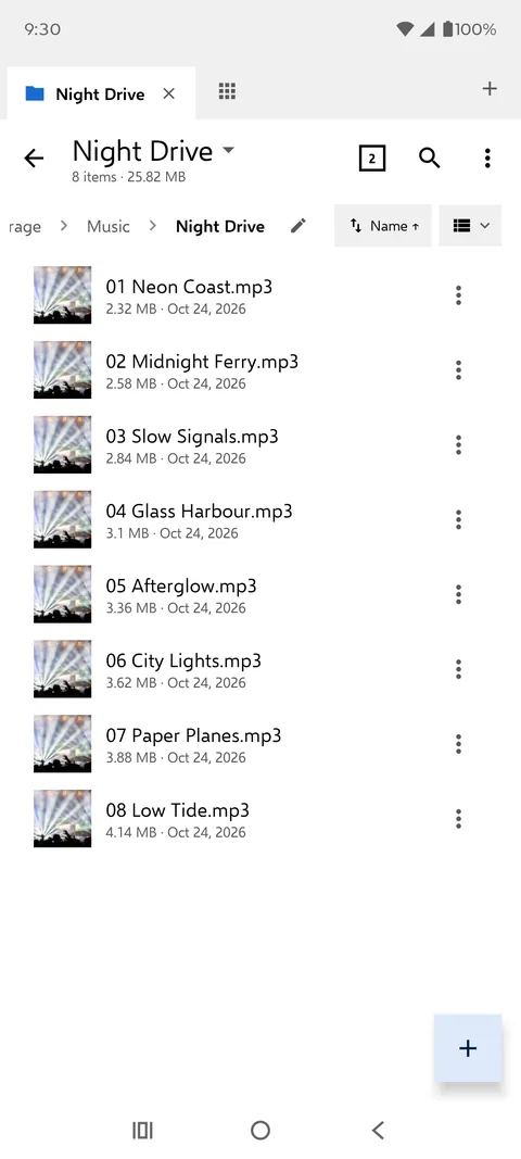 A music folder in the Metro skin